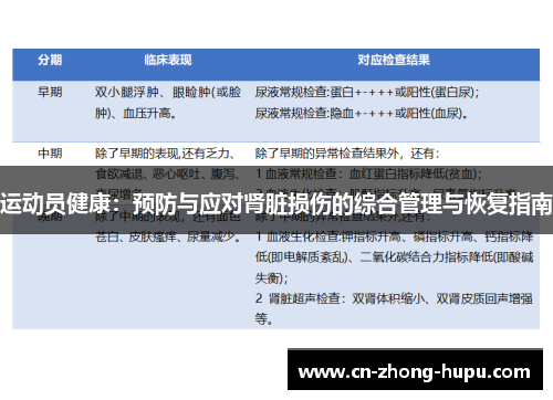运动员健康：预防与应对肾脏损伤的综合管理与恢复指南