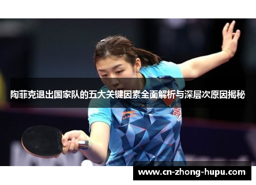 陶菲克退出国家队的五大关键因素全面解析与深层次原因揭秘